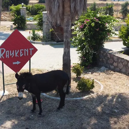 בית נופש Ernis - Raykent Tatil Sitesi - Kiralik *
